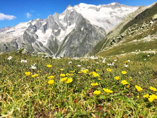 運動及活動, Denkmalgeschützter Spycher total renoviert (Denkmalgeschutzter Spycher total renoviert) in 尼德華爾德