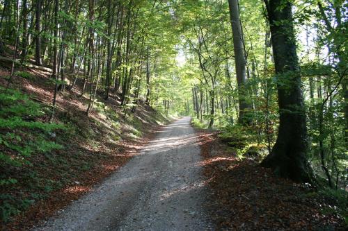 A környék, Ferienwohnung Hundenest im Altmühltal (Ferienwohnung Hundenest im Altmuhltal) in Kinding