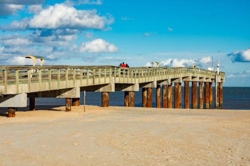 The House of Shells The House of Shells