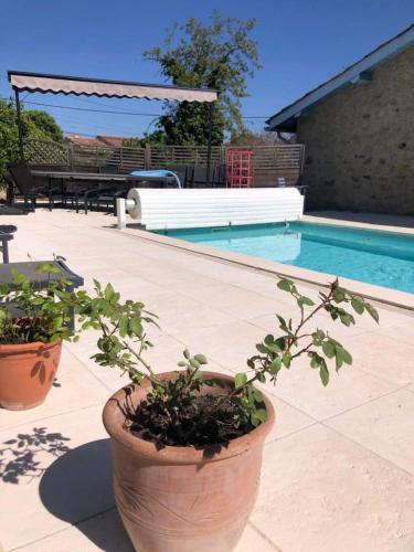 Winemaker’s House with pool near the sea