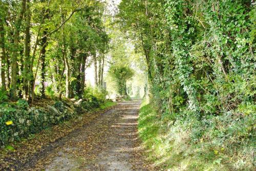 Semi-detached house Terryglass - EIR05100g-LYA - image 3