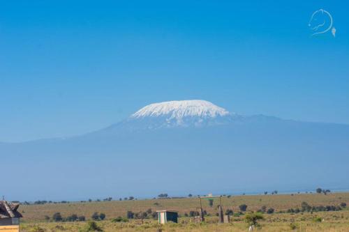 Amanya 2- Twin Pitch Tent with Mt Kili view