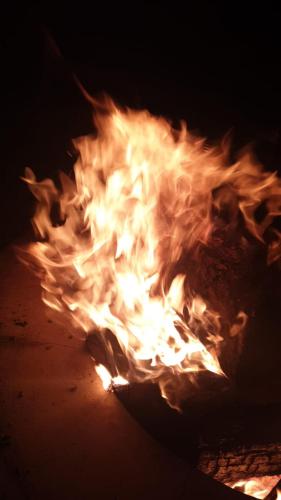 Veikla, Amanya Tent Sleeps 2 with Mt Views in Amboseli