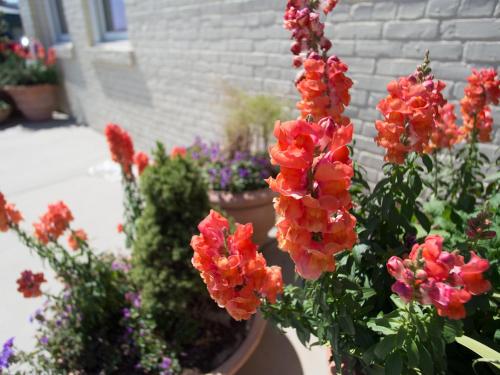 The Inn At The Crossroads - image 8