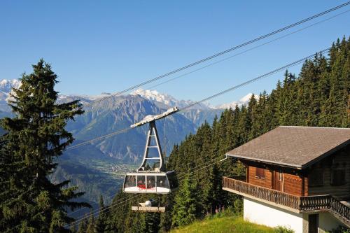 Alpenhaus Bettmeralp in Bettmeralp, Schweiz - 40 Bewertungen, Preise |  Planet of Hotels