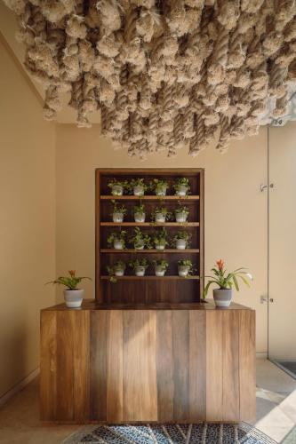 La Casa de la Playa by Xcaret- All Inclusive Adults Only