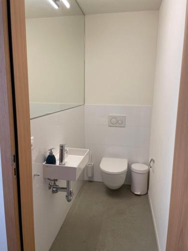 Selva Mountain Apartment in Flims, Schweiz