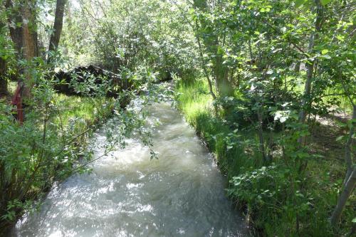 Private Creekside Cottage Between Ridgway and Ouray! - image 6