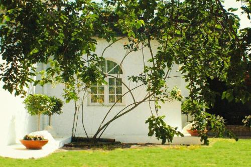  Holiday home, Castiglione di Sicilia in Castiglione di Sicilia