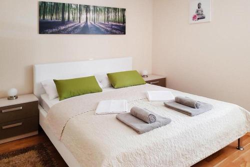 Apartment in Starigrad near Beach & Paklenica, Starigrad-Paklenica (fotografie 8)