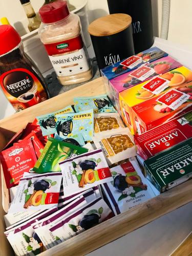 Apartmán Orlické Záhoří (Apartman Orlicke Zahori) in Svitavy