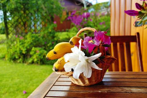  Holiday homes Quinta dos Curubás, Vila Franca do Campo in Vila Franca do Campo