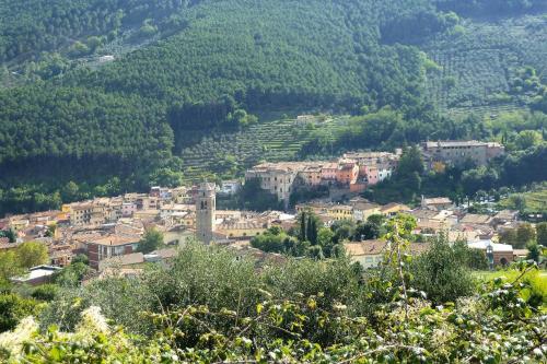 Agriturismo Cima alla Serra, Pisa