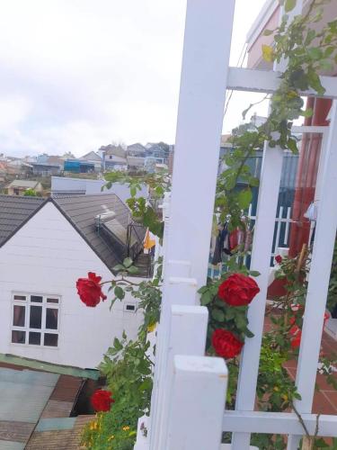 HOMESTAY ĐA LAT NGUYEN CAN