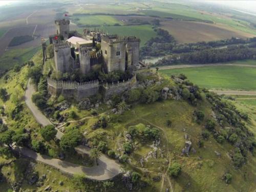 Amplio y Moderno Apartamento Lorenzo Ferreira