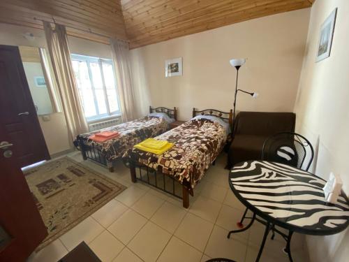 DMD Hotel - image 10