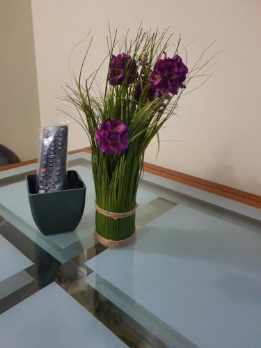 Leo Park Apartment