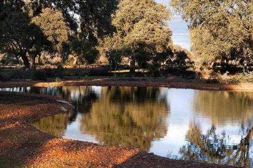 Casa rural en una finca de 300 ha reg 49426