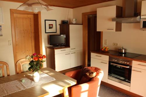 Two-Bedroom Apartment with Balcony and Mountain View 