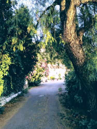 磨坊乡村民宿 磨坊乡村民宿