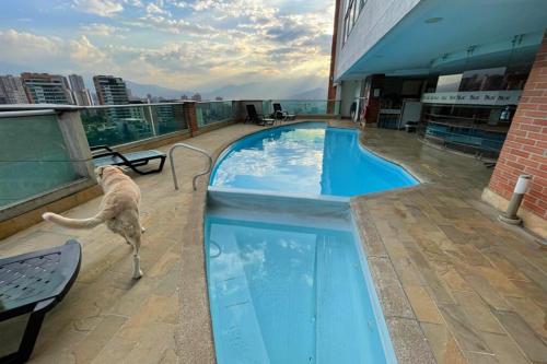 Apartasuit Vacacional en El Poblado Medellín, Medellín (Foto 7)
