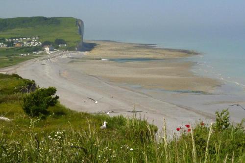 Holiday Home Quiberville-sur-Mer - NMD01101e-F - image 7