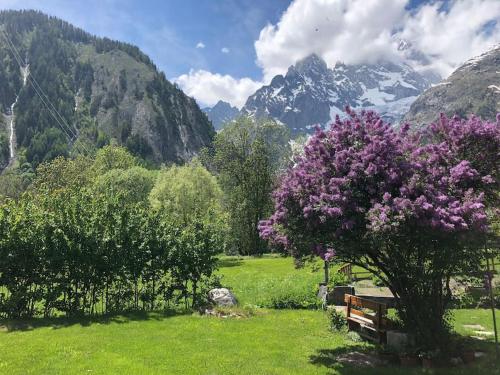 Appartamenti vista Monte Bianco Courmayeur-Entrèves