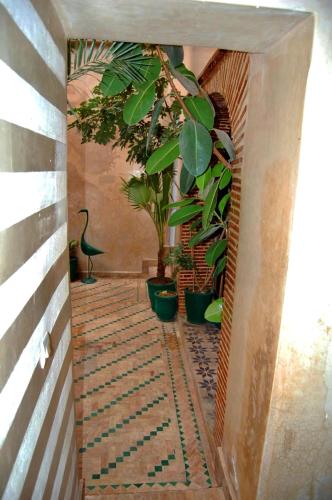 Riad DANA