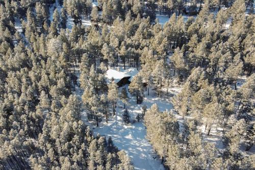 Altitude Adjustment Angel Fire Cabin with Deck