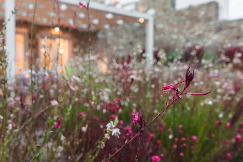 The Mykonist Executive Villa Elia Beach The Mykonist Executive Villa Elia Beach