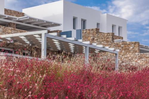 The Mykonist Executive Villa Elia Beach The Mykonist Executive Villa Elia Beach