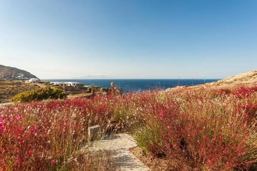 The Mykonist Executive Villa Elia Beach The Mykonist Executive Villa Elia Beach