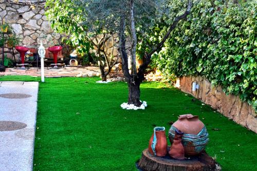 สวน, אוויר הרים in มาอาลอท์ ทาร์ชิฮา