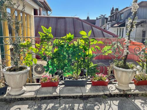 Apartment with Terrace room in Santa Catarina Apartments