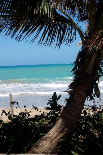 IVBB Beach Studio
