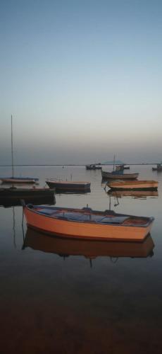 La Terra Dei Sogni – Marsala, CA