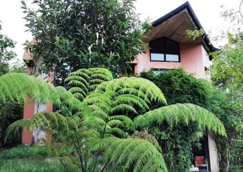 Casa del Bosque
