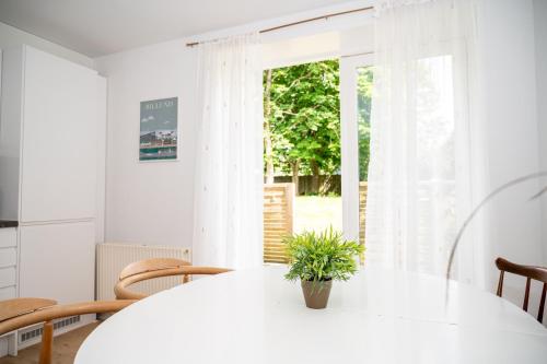 300 meter walk to LEGO HOUSE - 80m2 two bedroom apartment with garden in Billund