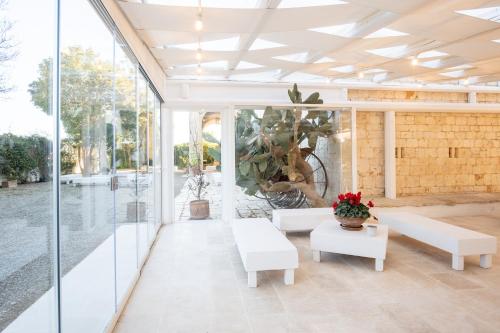Masseria Agrituristica Lama San Giorgio - image 3