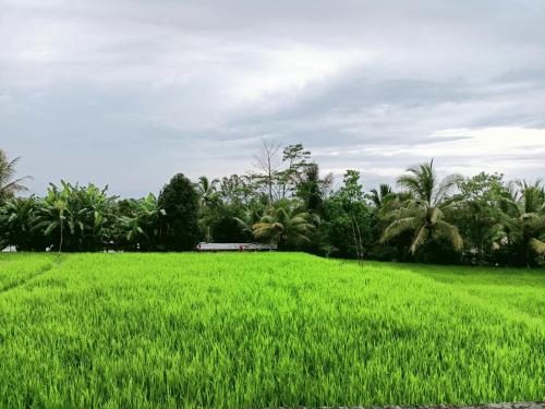 Airsania Ubud Luxury Private Villas