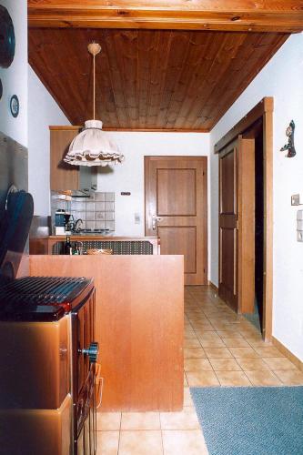 Apartments home Hermann Ramsau am Dachstein - OSM03500-CYA - image 3