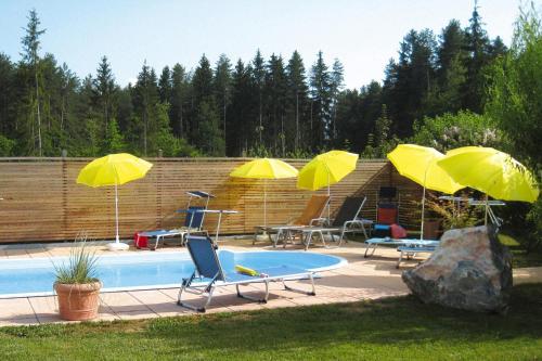  Adults only apartment with pool in Wasserhofen