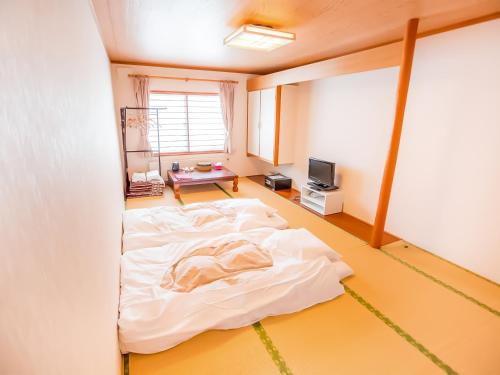 Japanese-Style Triple Room with Shared Bathroom N3