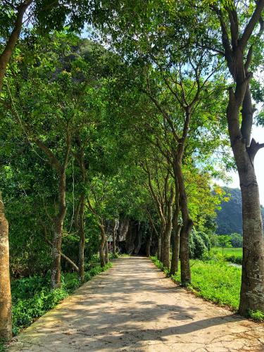 塔姆科克大自然山林小屋 塔姆科克大自然山林小屋