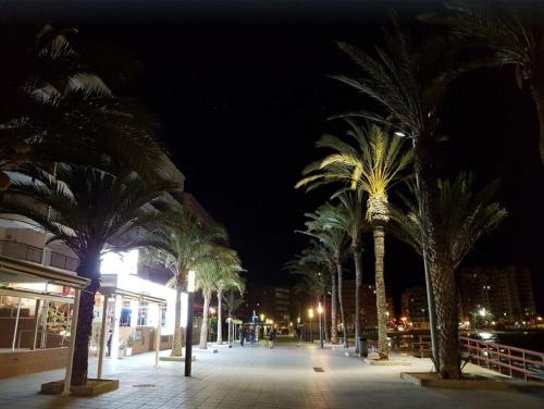 Apartment 350 meters from Playa del Cura - image 2