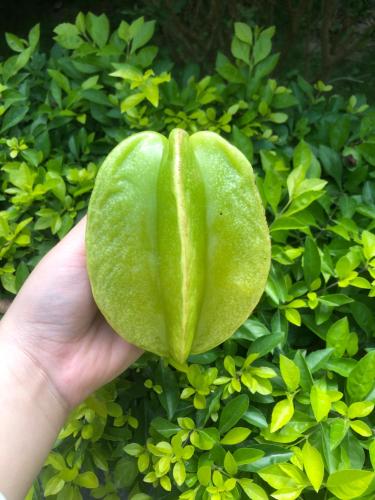 塔姆科克大自然山林小屋 塔姆科克大自然山林小屋