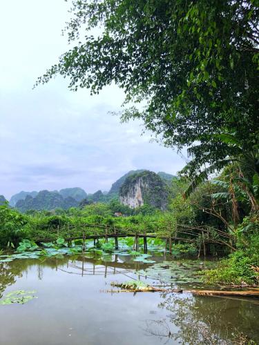 塔姆科克大自然山林小屋 塔姆科克大自然山林小屋