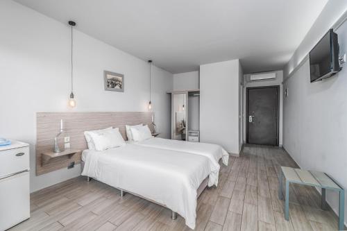 Ianos Bay in 莱夫卡达