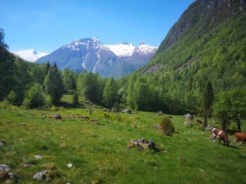 Sogndal ski- and mountain cabin