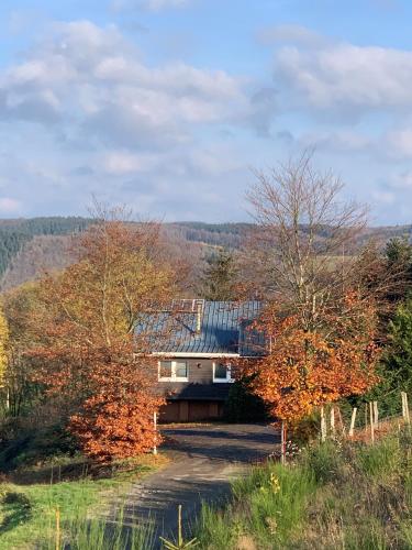 Waldhaus Wangen